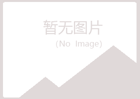 日土县冰夏金属有限公司